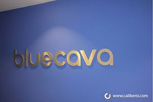 Bluecava Office Lobby Sign