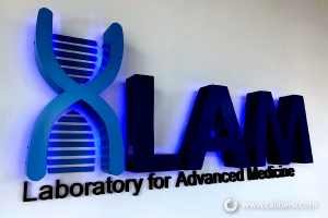 Illuminted Lobby Sign Reception Sign LAM Laboratory for Advanced Medicine Irvine CA Caliber Signs and Imaging
