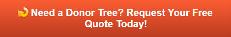 Free quote on Donor Trees